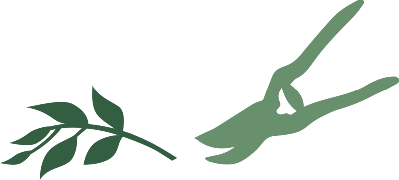 élagage arbres et arbustes