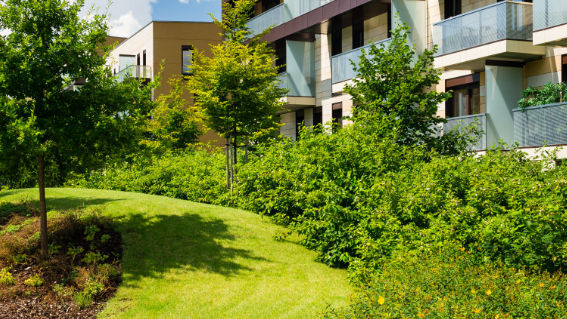 Entretien de jardins pour les copropriétés syndics à Paris