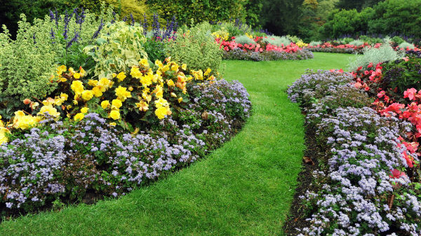 Entretien de jardins à Paris